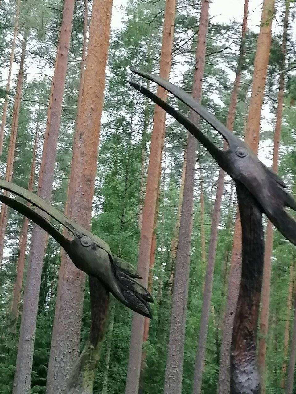 Фото Гостиницы Райвола Рощино 120