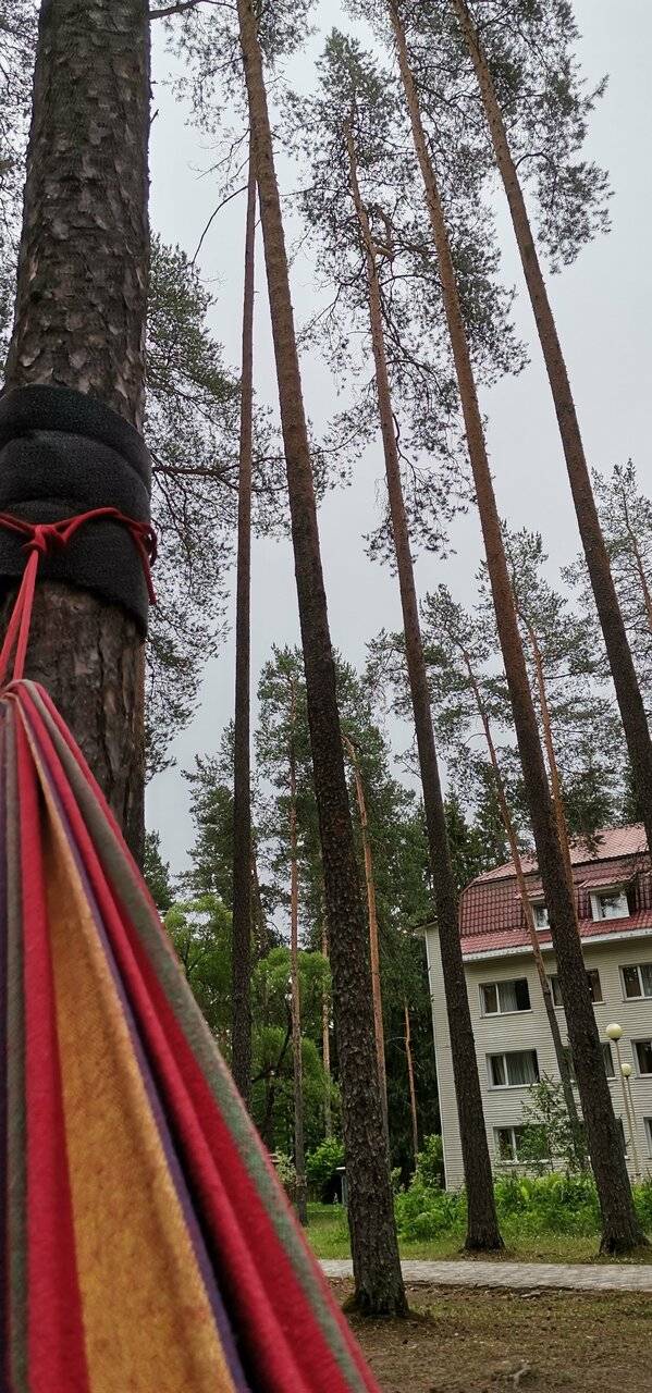 Фото Гостиницы Райвола Рощино 91