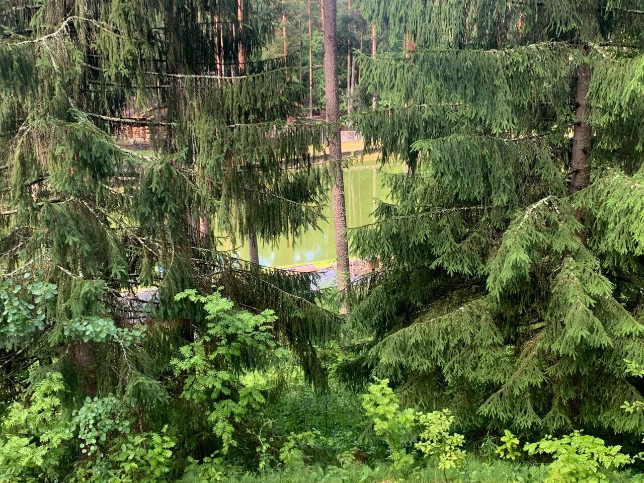 Фото Гостиницы Райвола Рощино 171