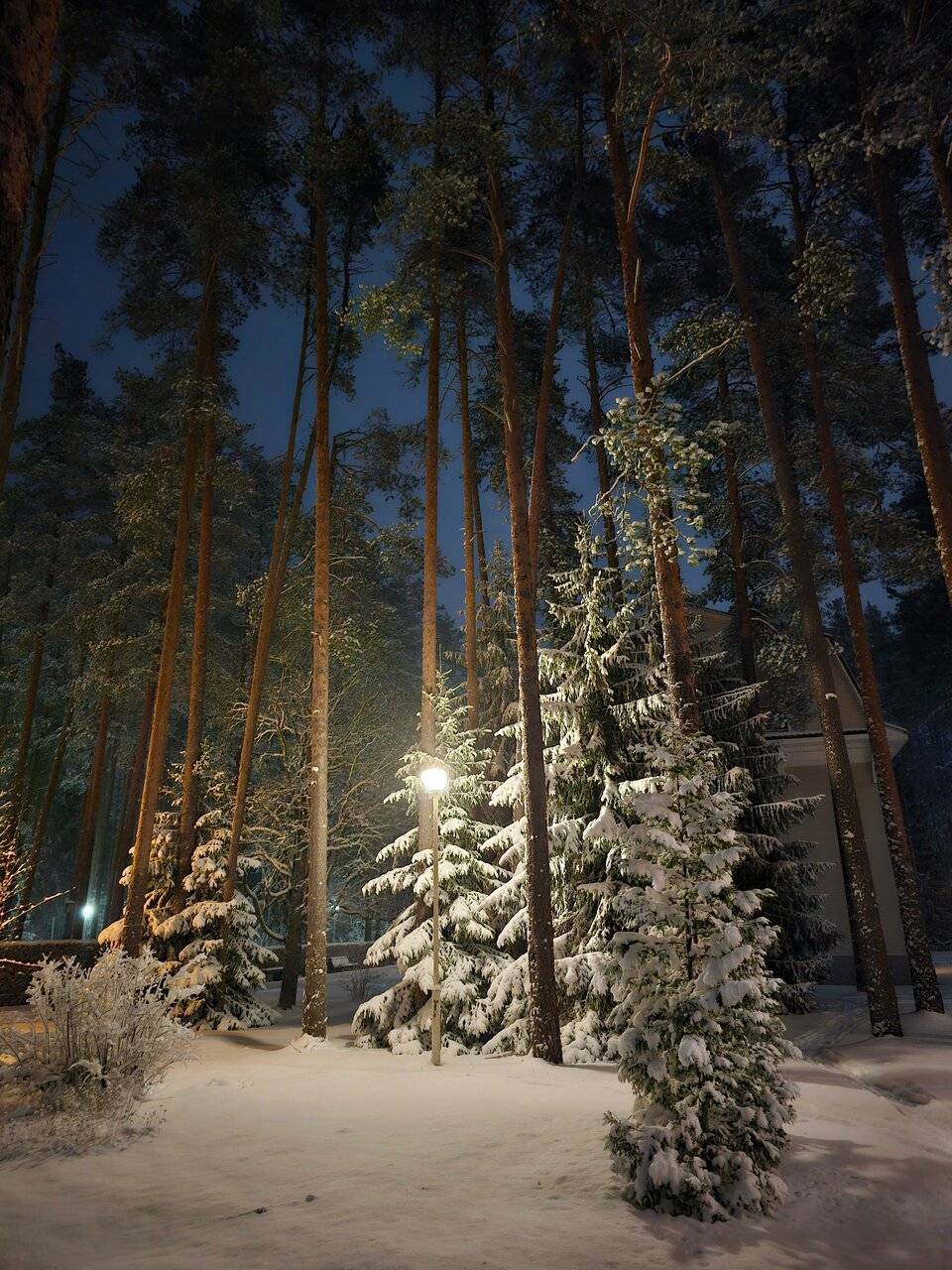 Фото Гостиницы Райвола Рощино 155