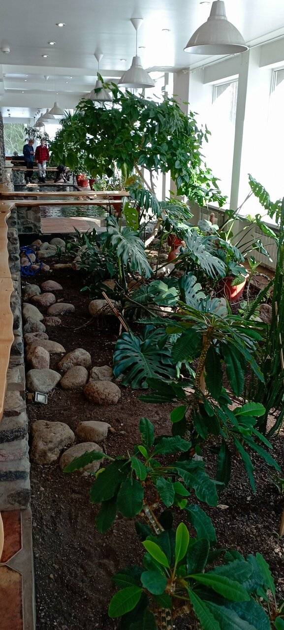 Фото Гостиницы Райвола Рощино 232