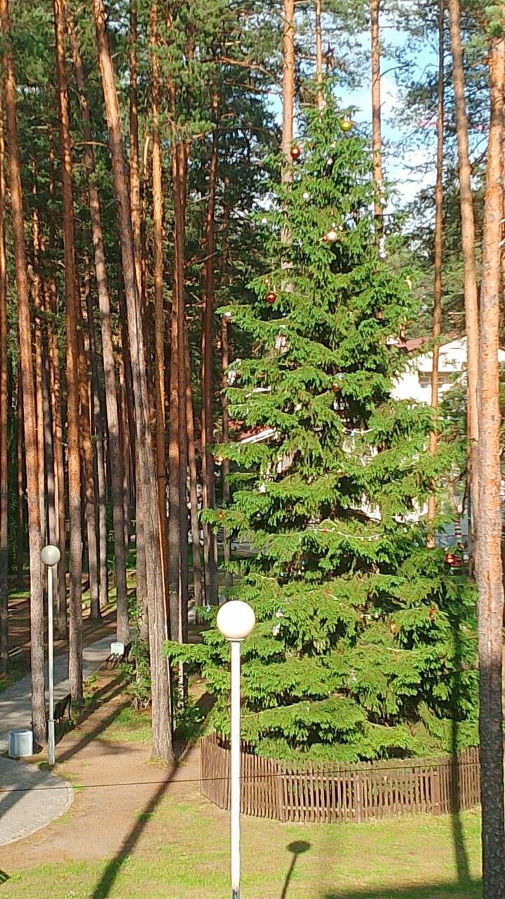 Фото Гостиницы Райвола Рощино 66