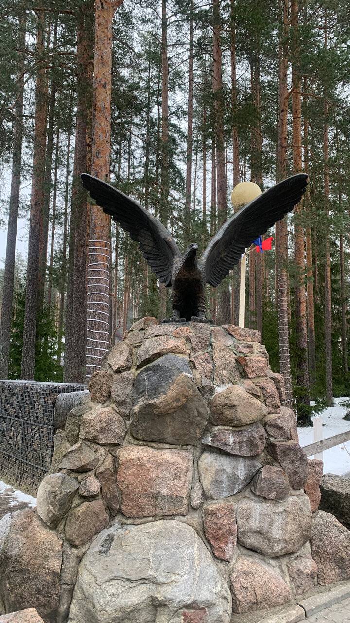 Фото Гостиницы Райвола Рощино 248