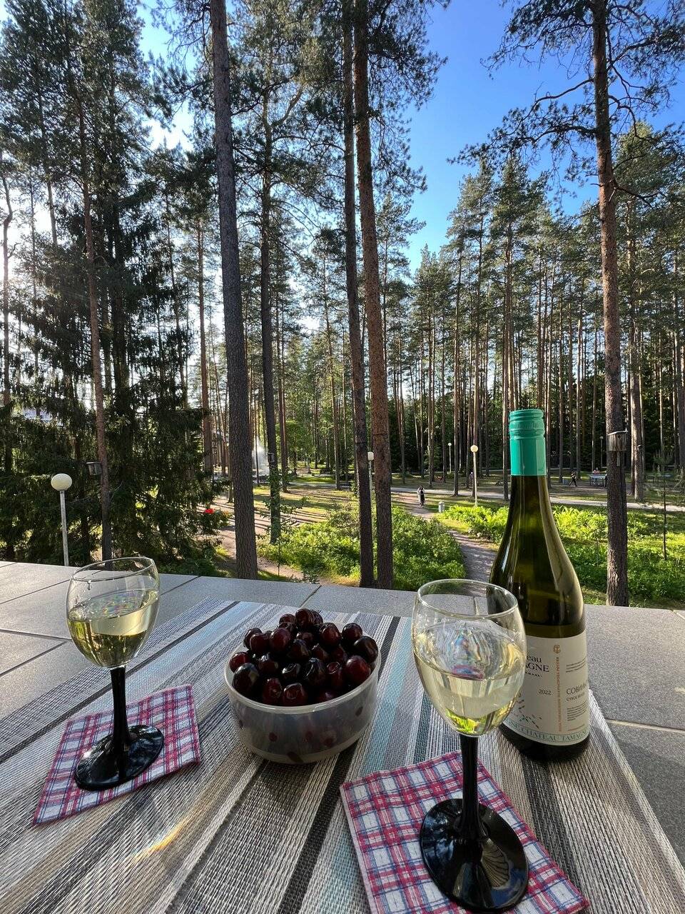 Фото Гостиницы Райвола Рощино 71