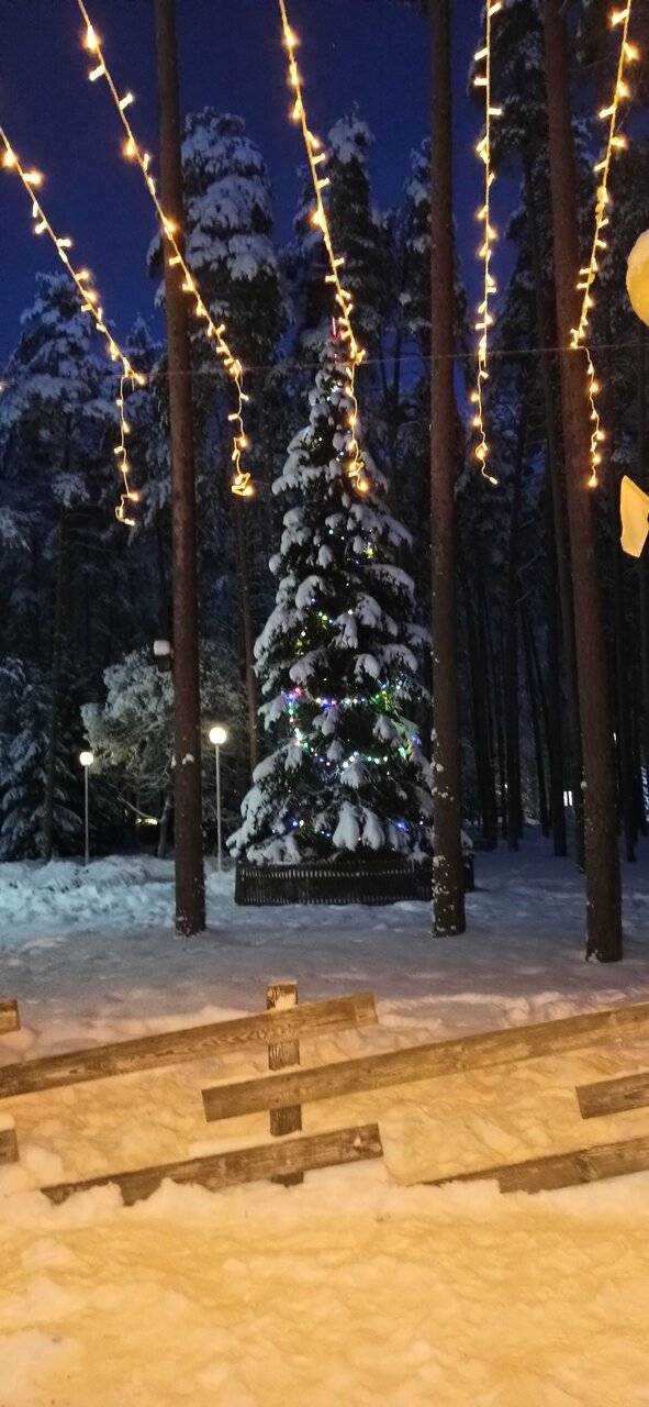 Фото Гостиницы Райвола Рощино 226