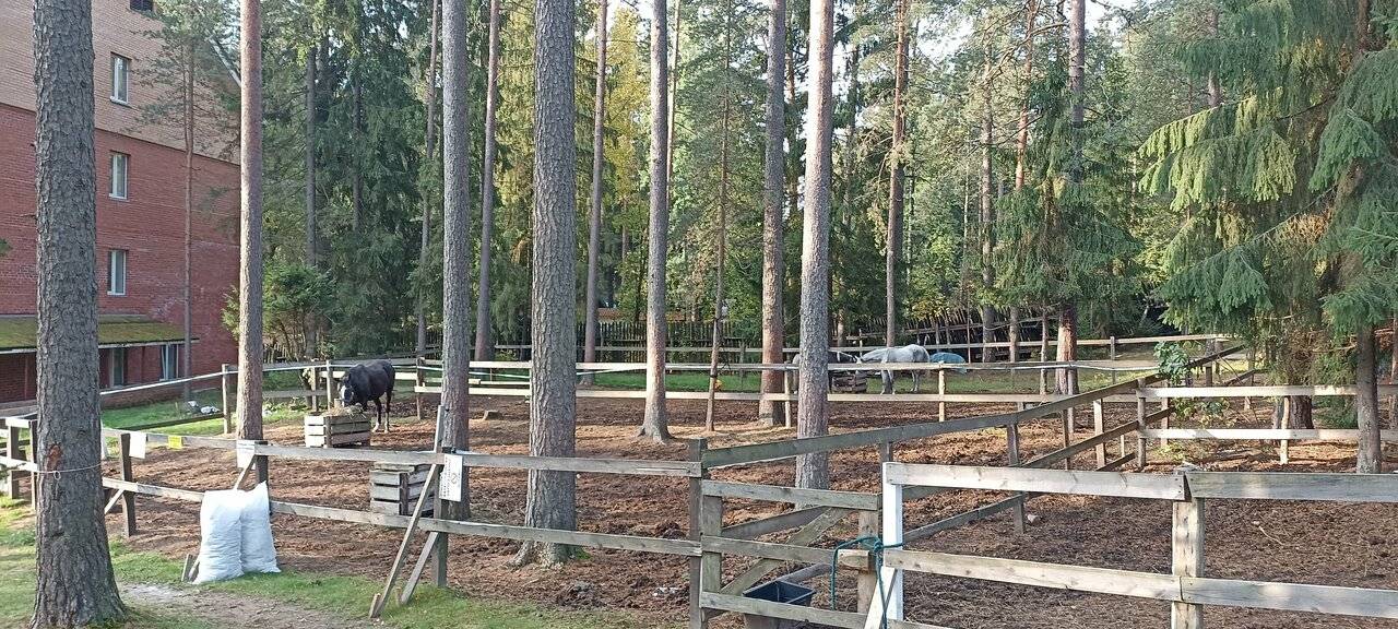 Фото Гостиницы Райвола Рощино 231