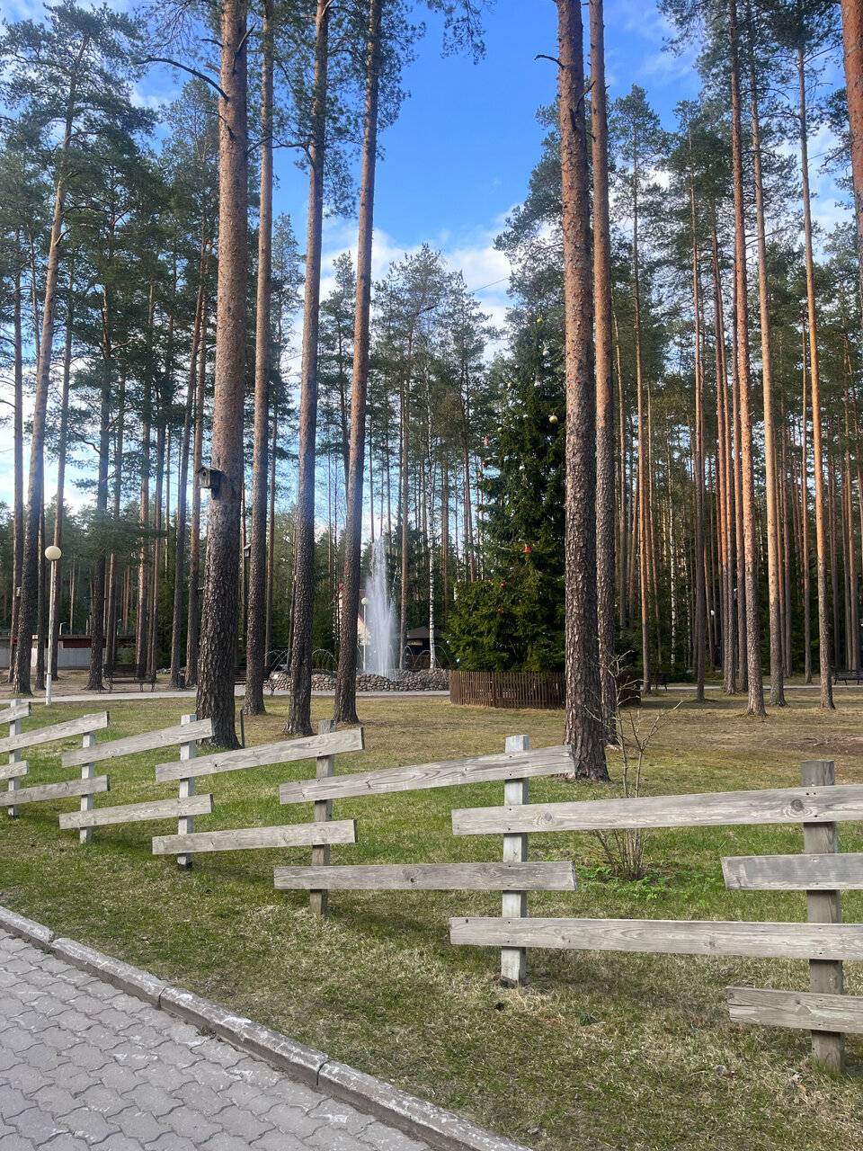 Фото Гостиницы Райвола Рощино 247