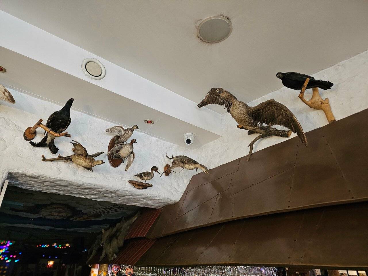 Фото Гостиницы Райвола Рощино 189