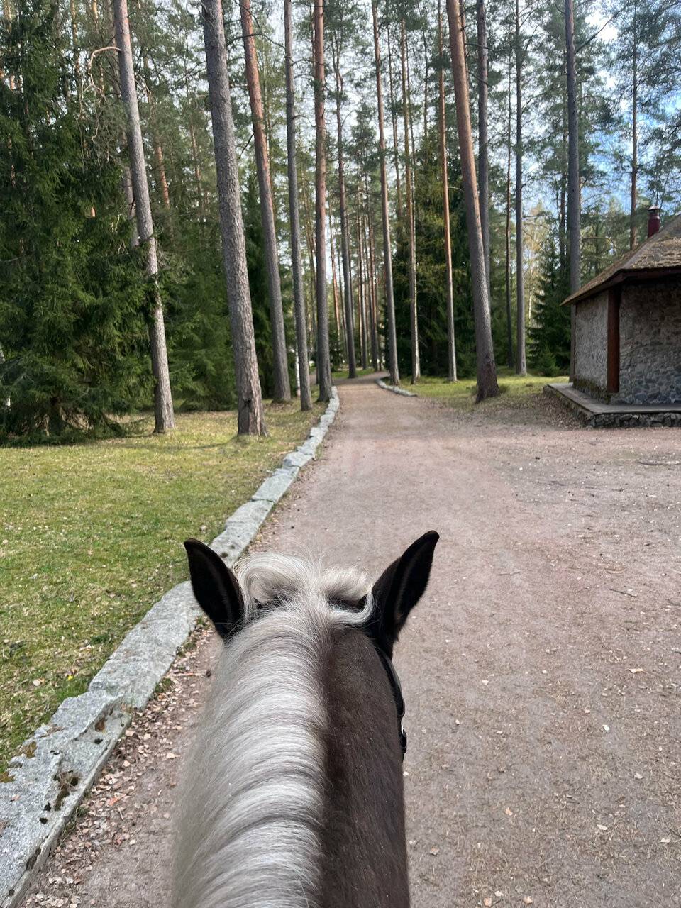 Фото Гостиницы Райвола Рощино 123