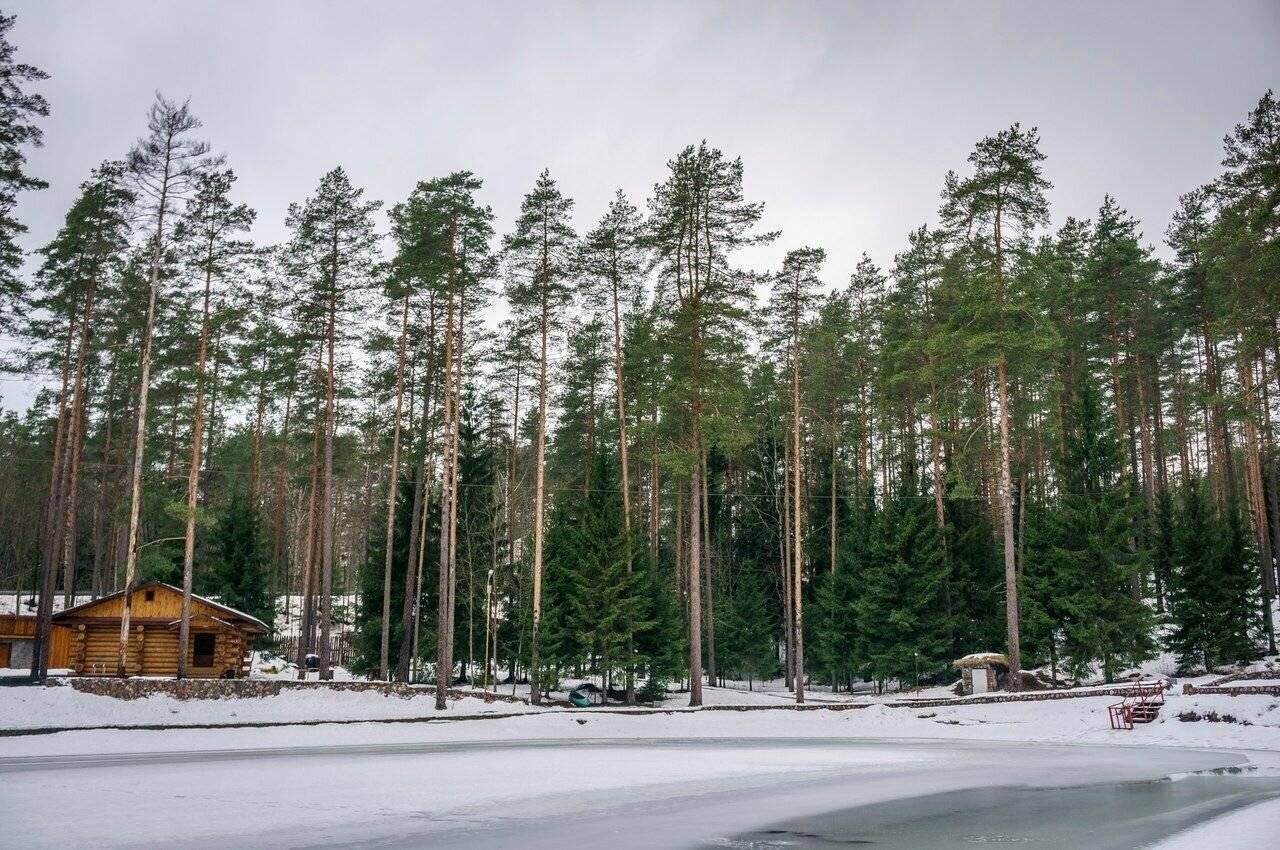 Фото Гостиницы Райвола Рощино 6