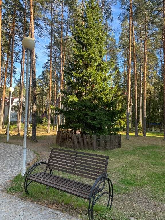 Фото Гостиницы Райвола Рощино 190