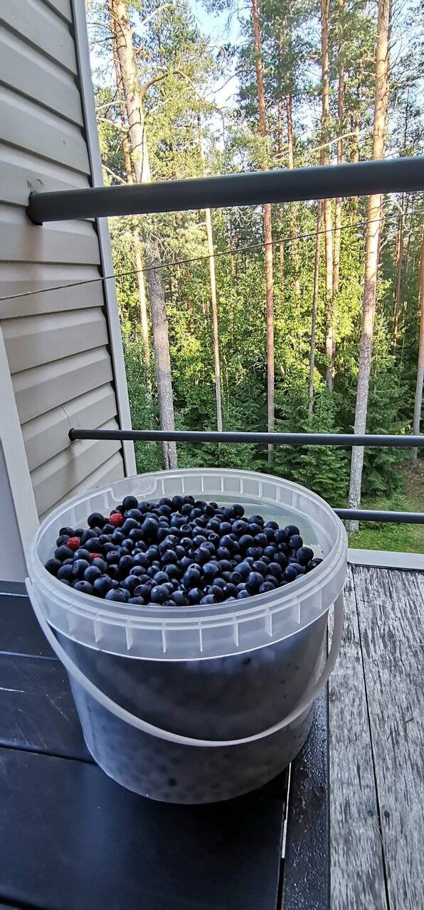 Фото Гостиницы Райвола Рощино 212