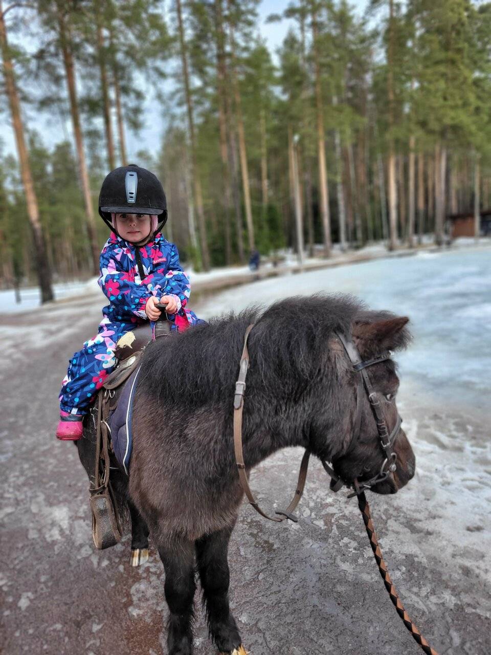 Фото Гостиницы Райвола Рощино 200