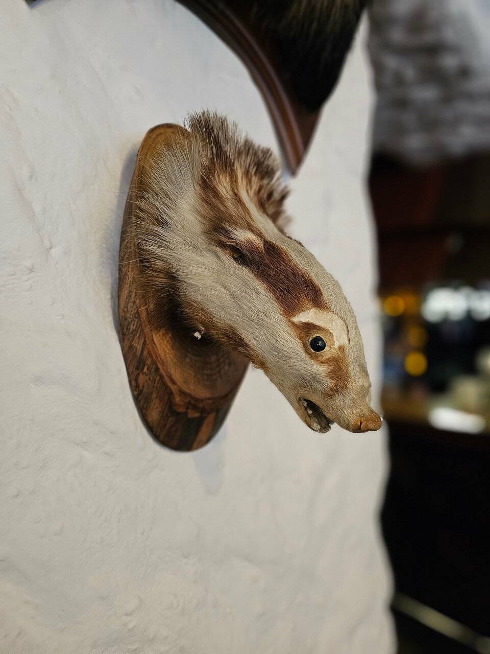 Фото Гостиницы Райвола Рощино 153