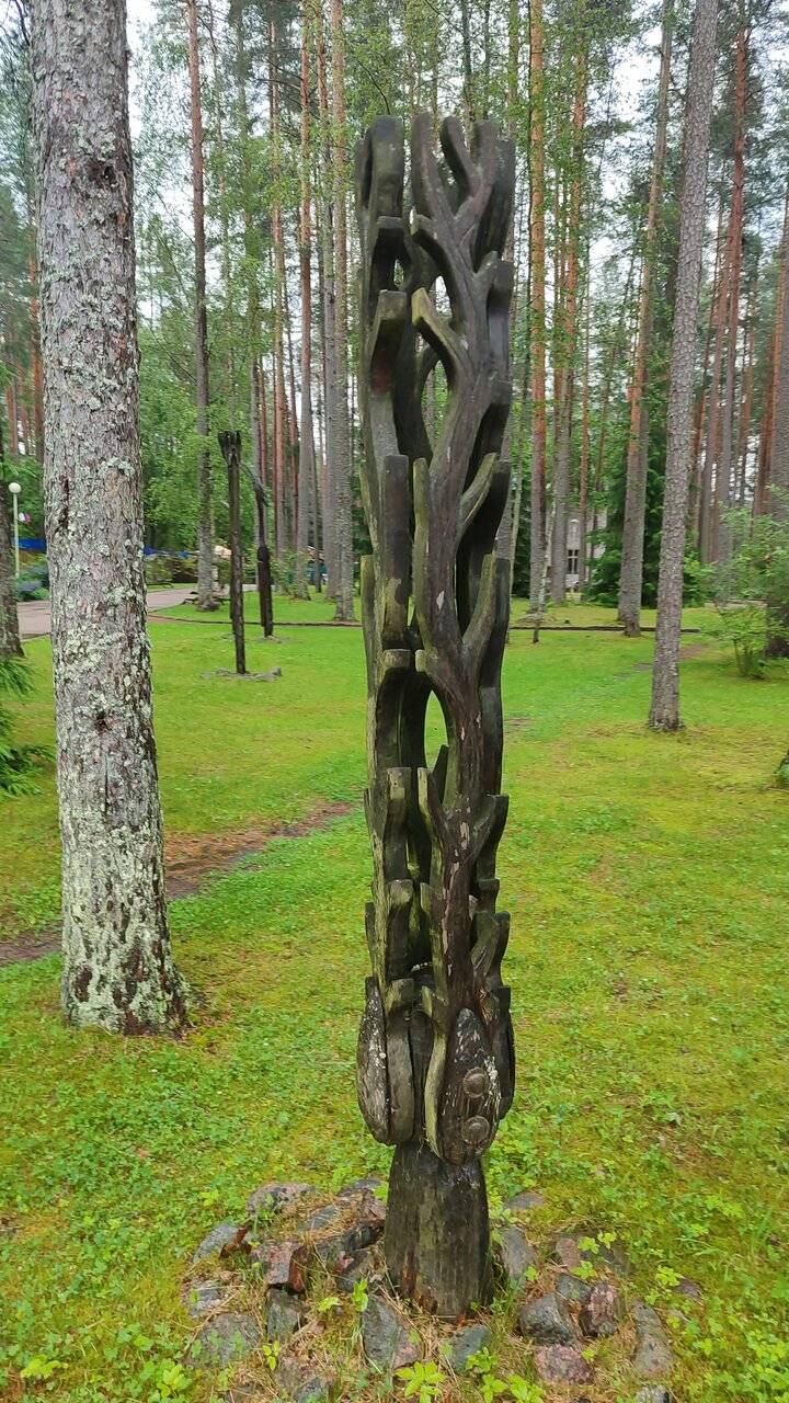 Фото Гостиницы Райвола Рощино 74