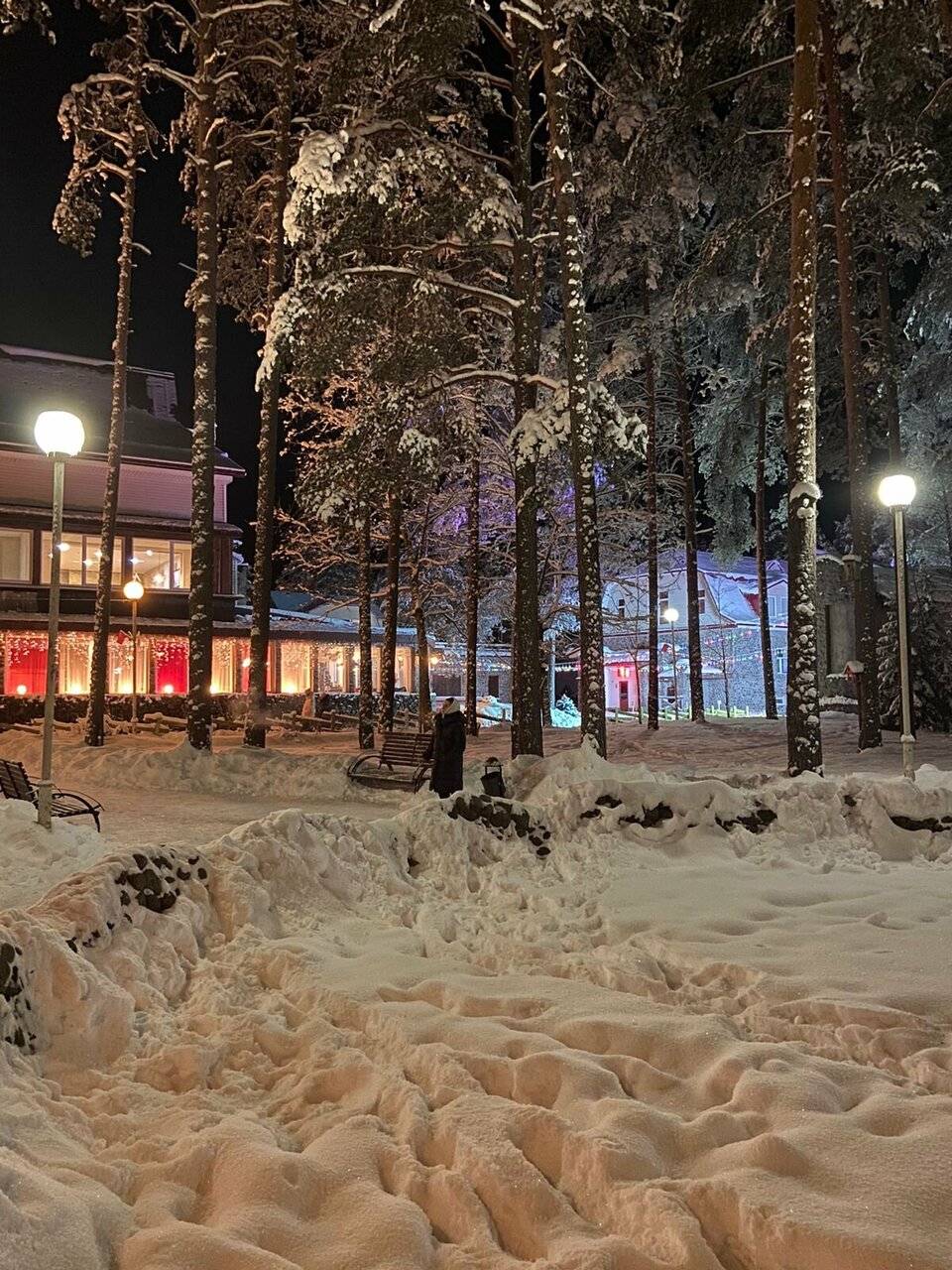 Фото Гостиницы Райвола Рощино 172