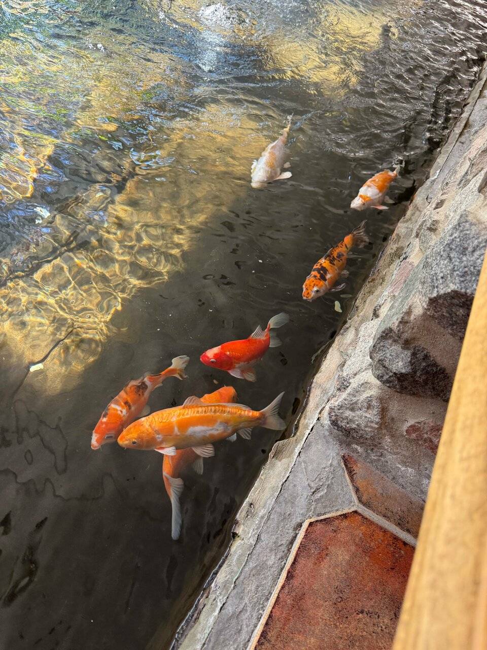 Фото Гостиницы Райвола Рощино 94