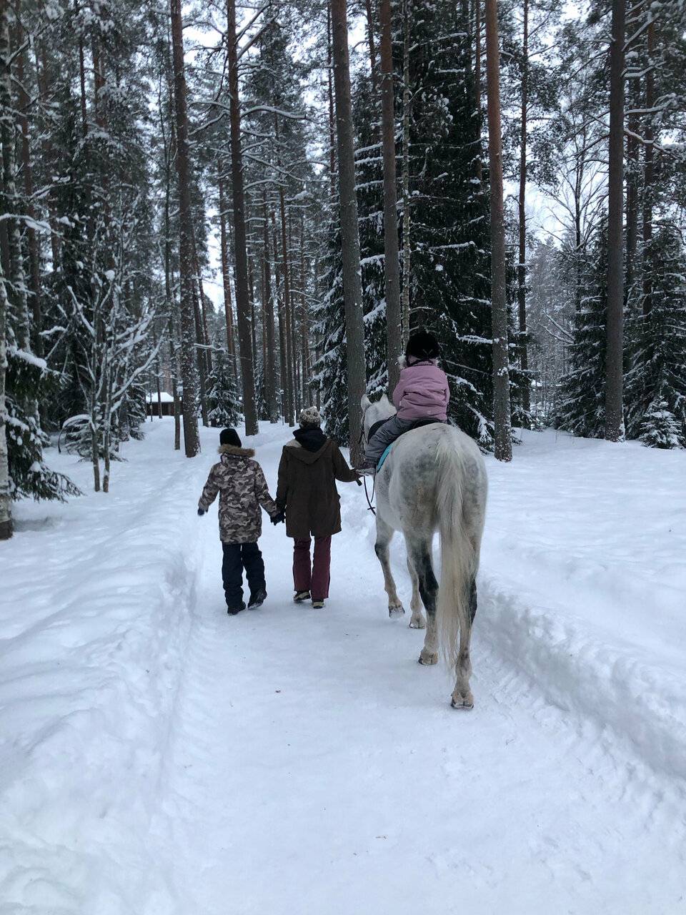 Фото Гостиницы Райвола Рощино 145