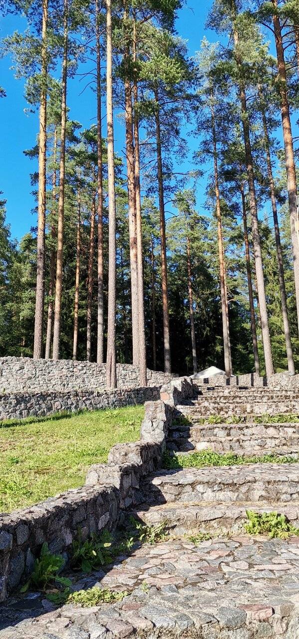 Фото Гостиницы Райвола Рощино 128