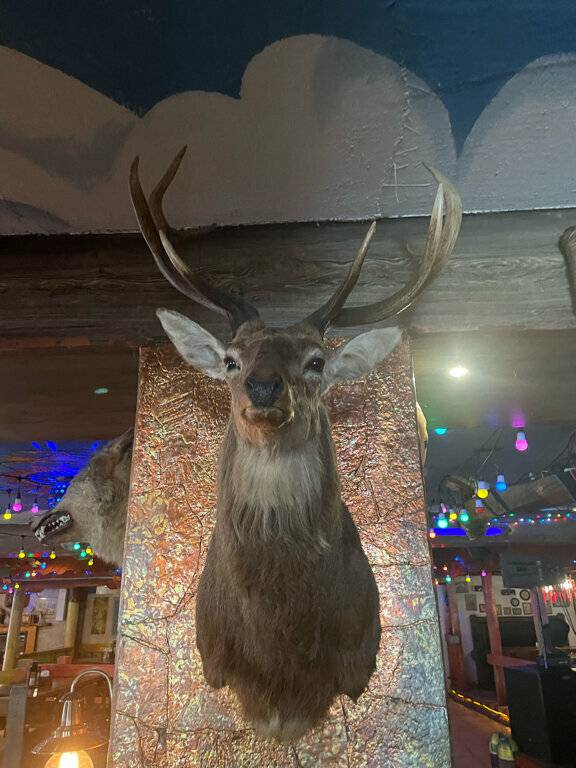 Фото Гостиницы Райвола Рощино 81