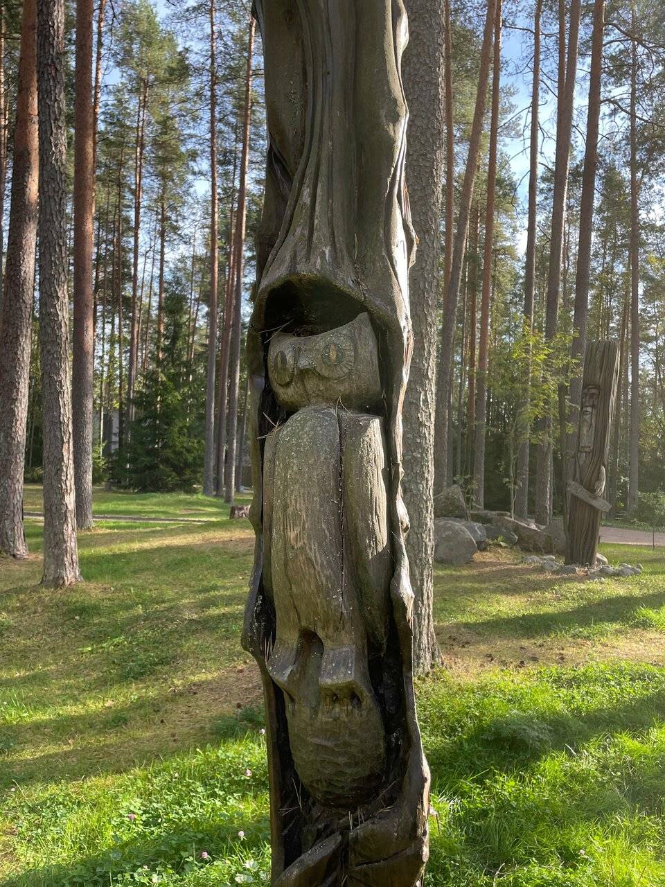 Фото Гостиницы Райвола Рощино 188