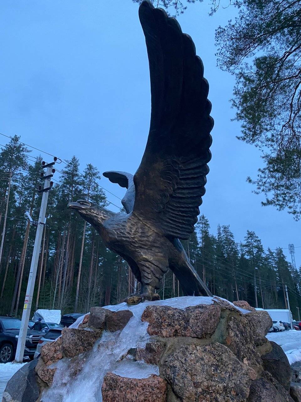 Фото Гостиницы Райвола Рощино 54