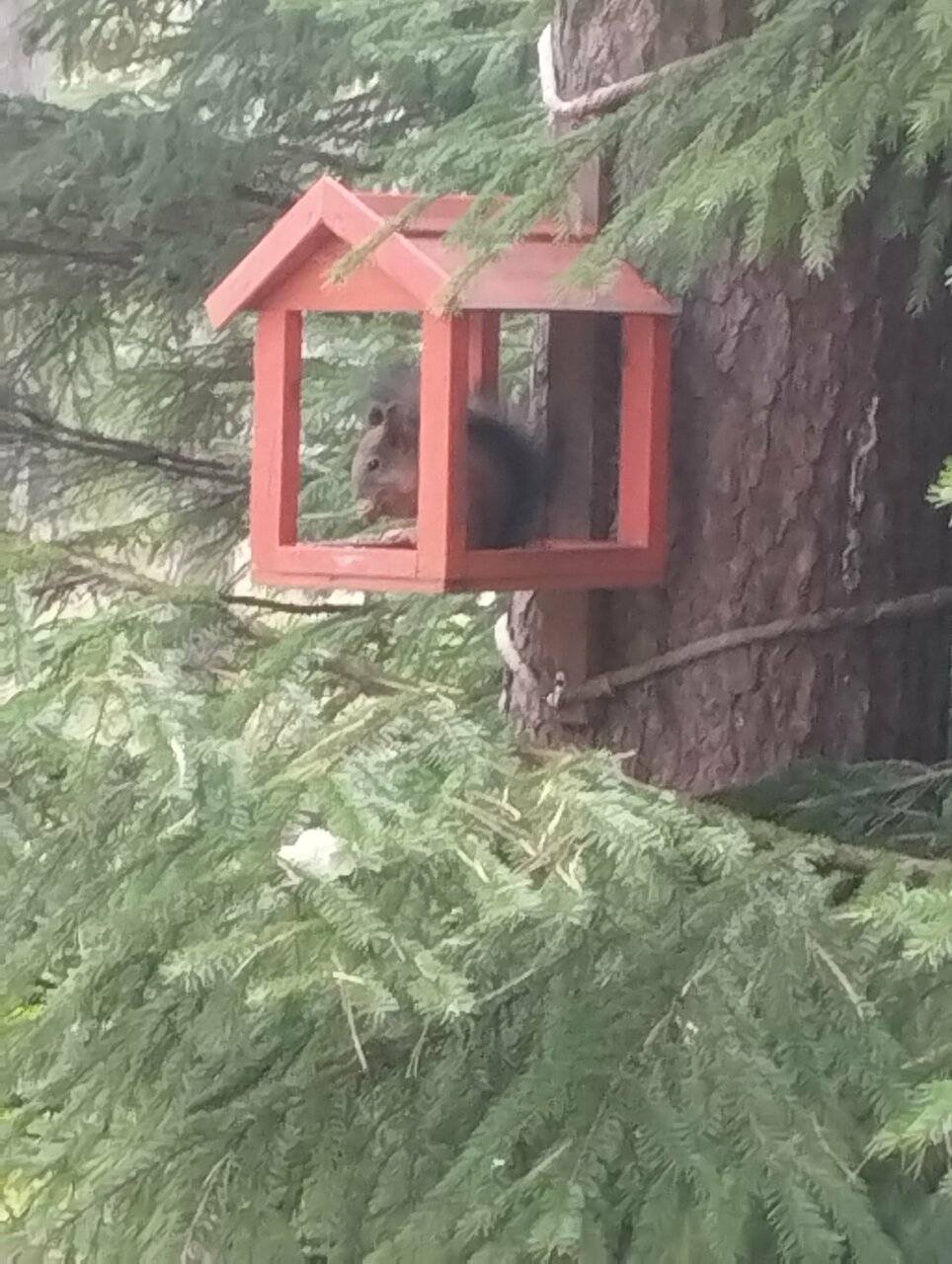 Фото Гостиницы Райвола Рощино 124