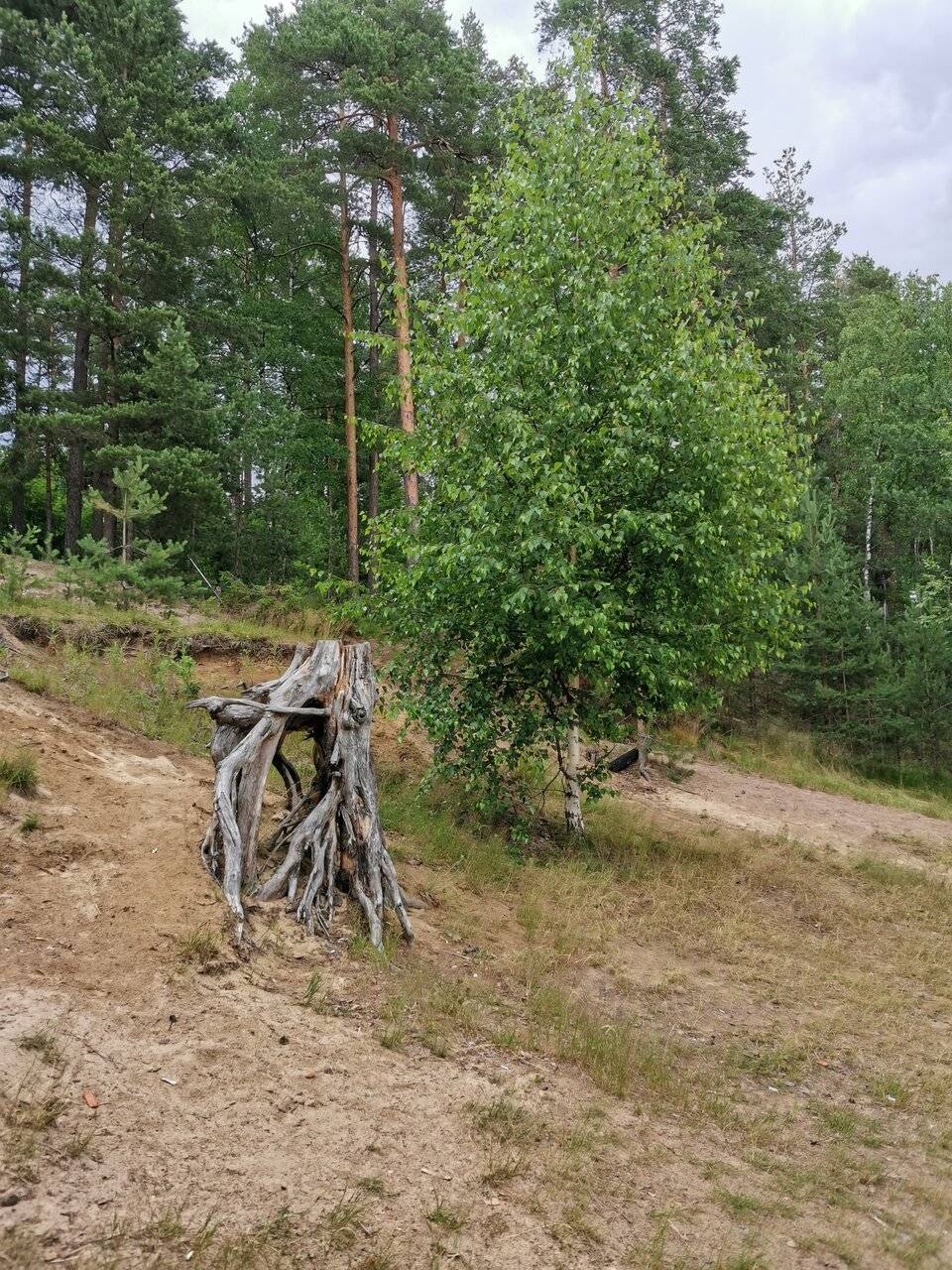 Фото Гостиницы Райвола Рощино 132