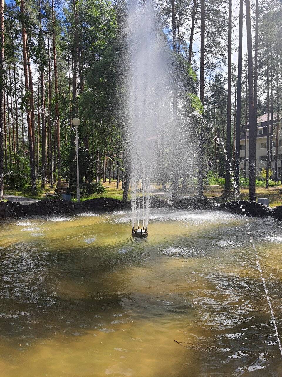 Фото Гостиницы Райвола Рощино 108