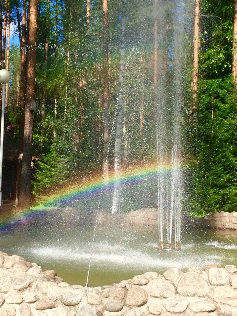 Фото Гостиницы Райвола Рощино 86